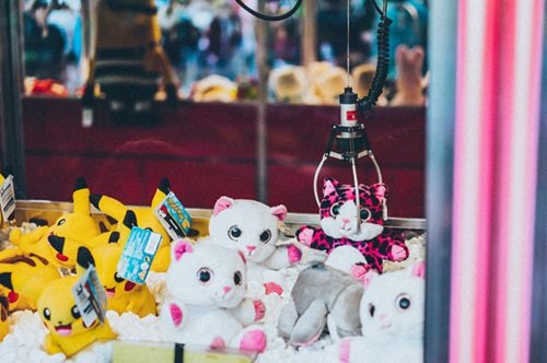Indoor Cat Toys