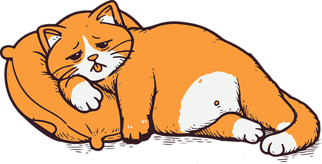 Cat Pillows