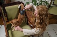 Best Brush for Long-Haired Cats